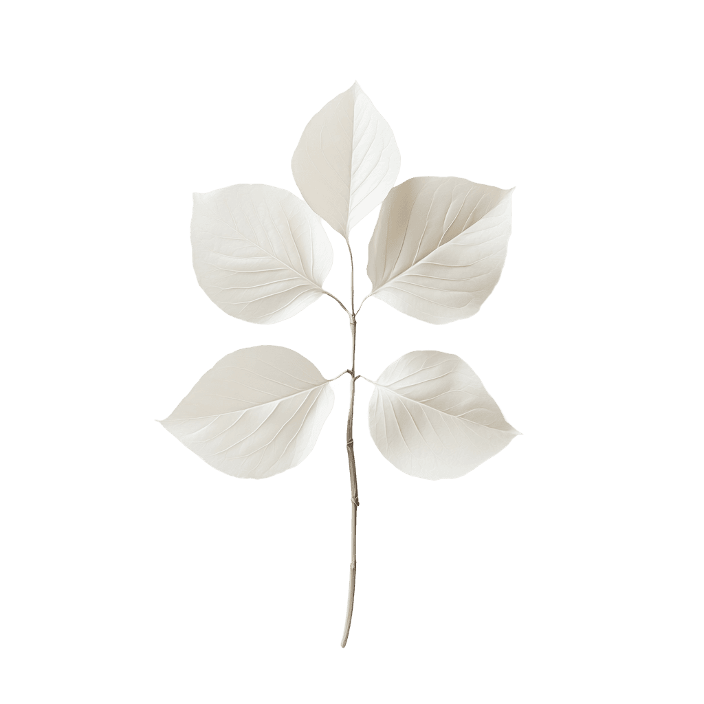 Adaptogens